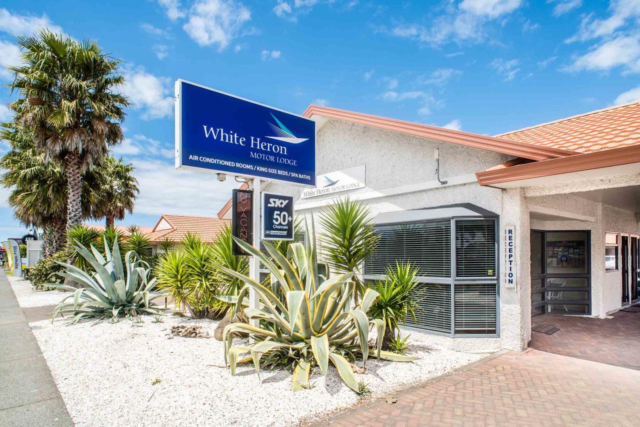 White Heron Motor Lodge Gisborne Εξωτερικό φωτογραφία