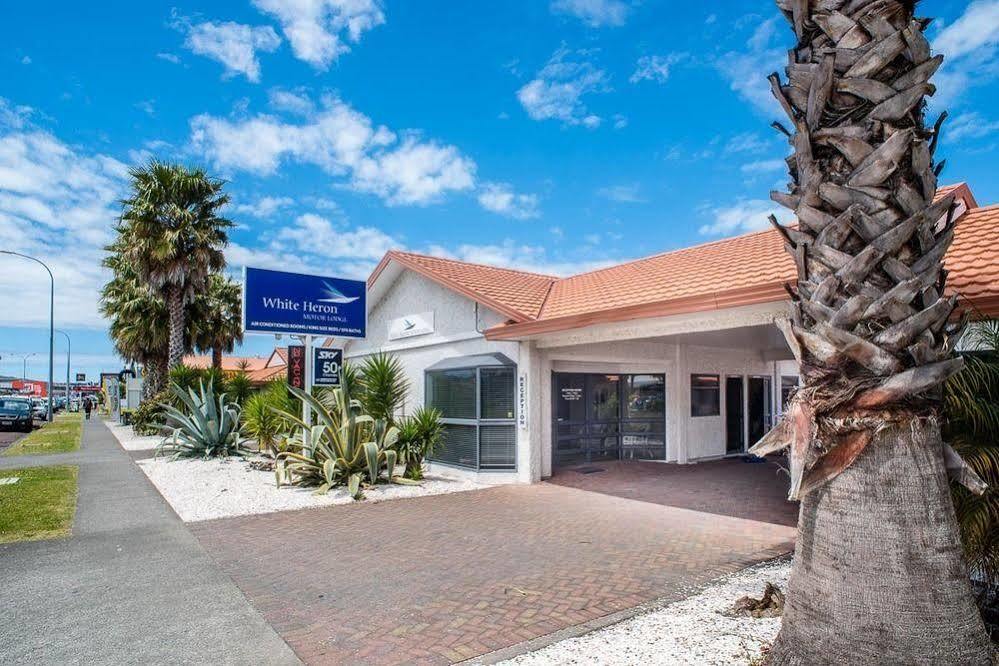 White Heron Motor Lodge Gisborne Εξωτερικό φωτογραφία