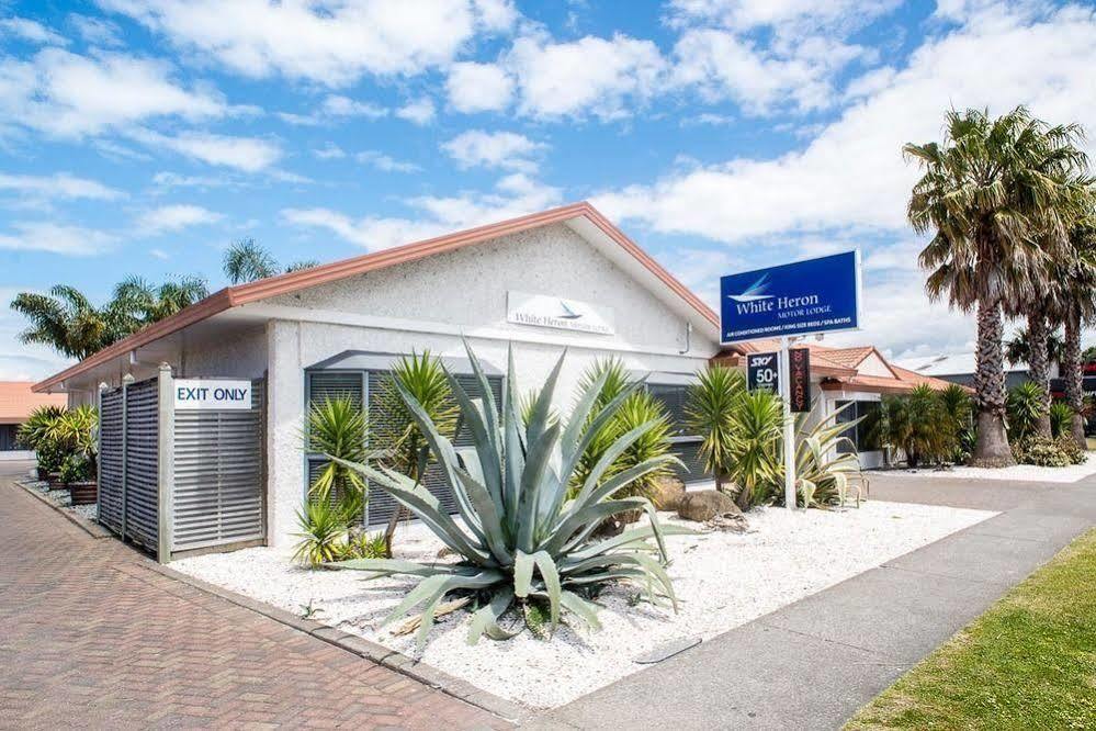 White Heron Motor Lodge Gisborne Εξωτερικό φωτογραφία