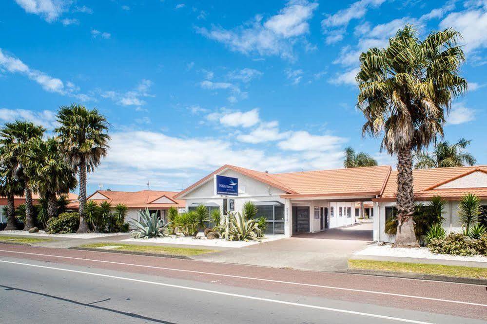 White Heron Motor Lodge Gisborne Εξωτερικό φωτογραφία